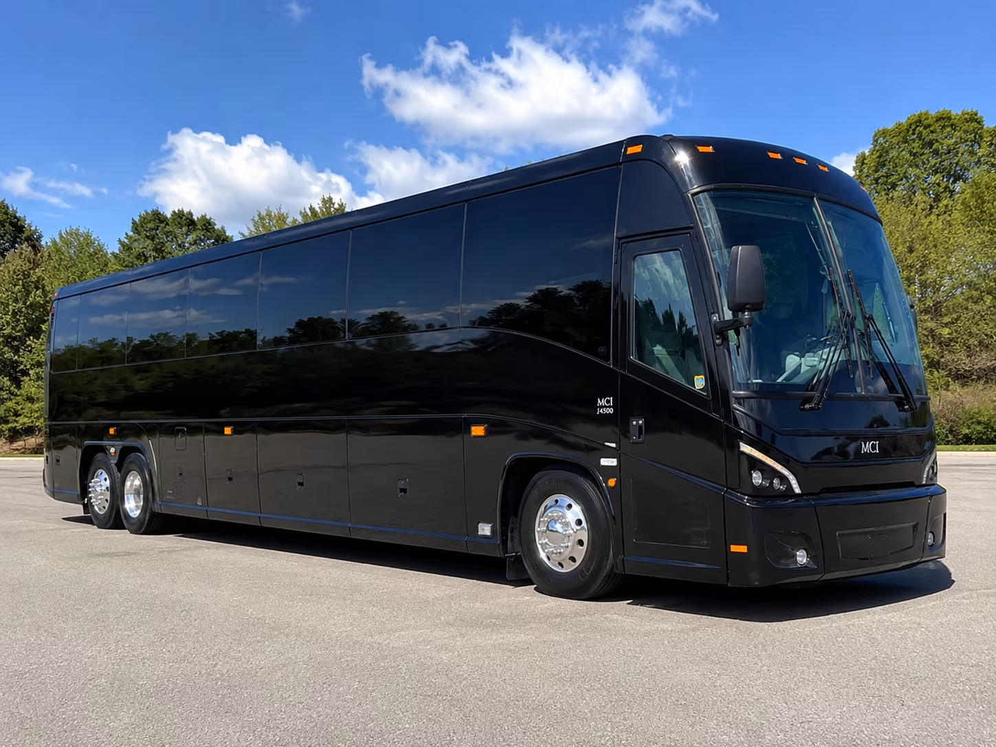 buses for ano nuevo state park field trips along the coast
